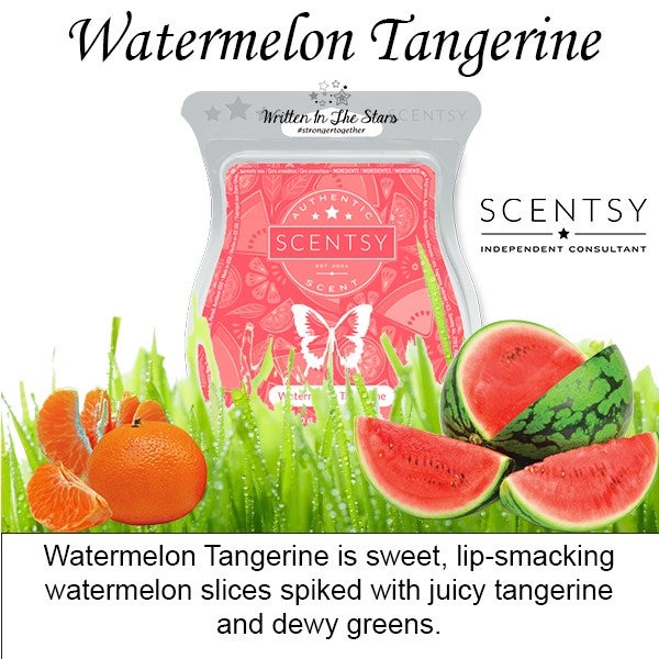 Watermelon Wave Scentsy Bar (June 2018)